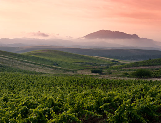 Sicily's Ancient Winemaking Traditions Meet Modern Luxury