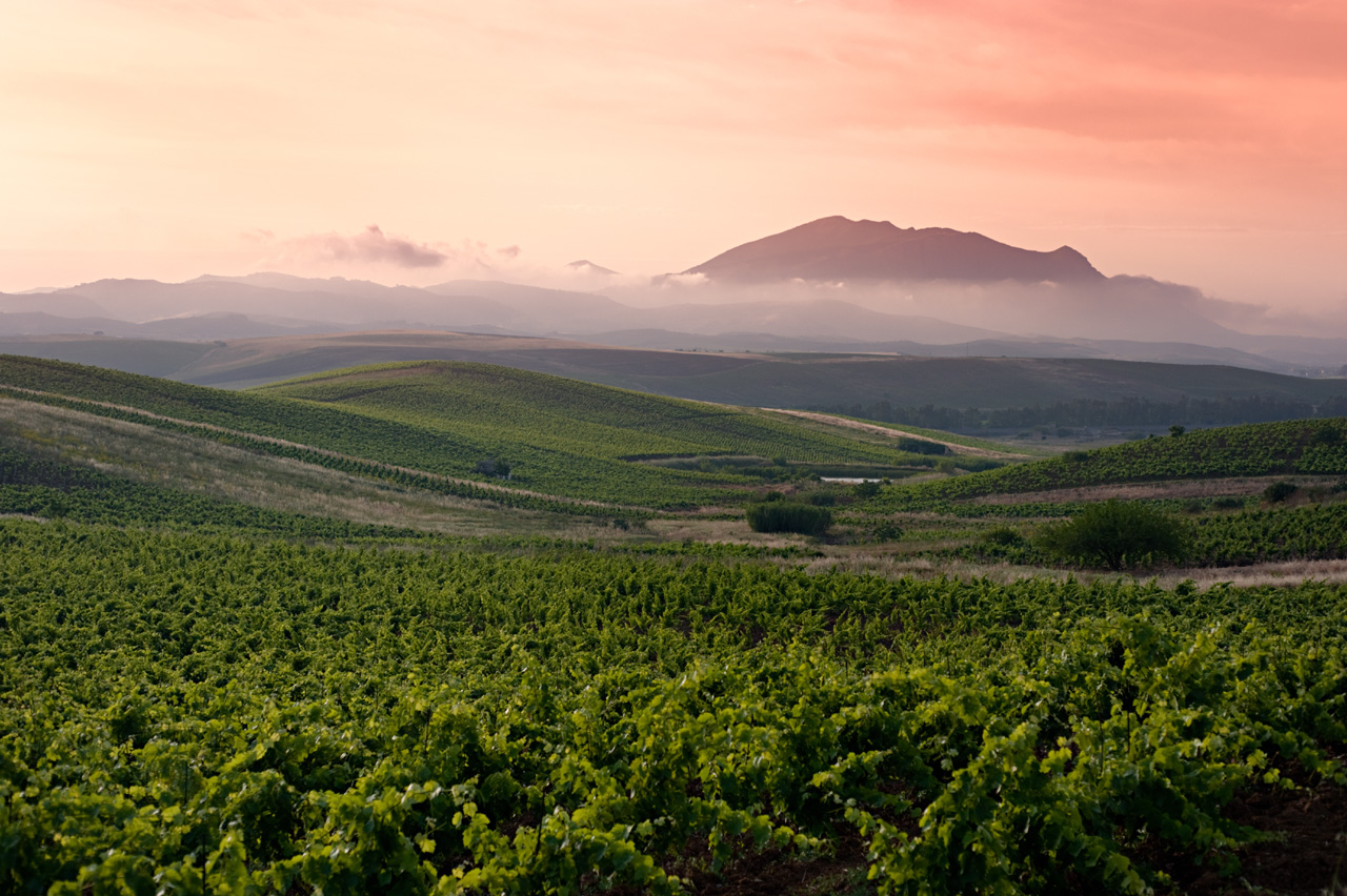 Sicily's Ancient Winemaking Traditions Meet Modern Luxury